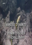 Dynamit-Fischen im Korallenriff