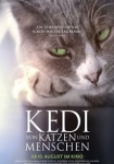 Kedi: Von Katzen und Menschen